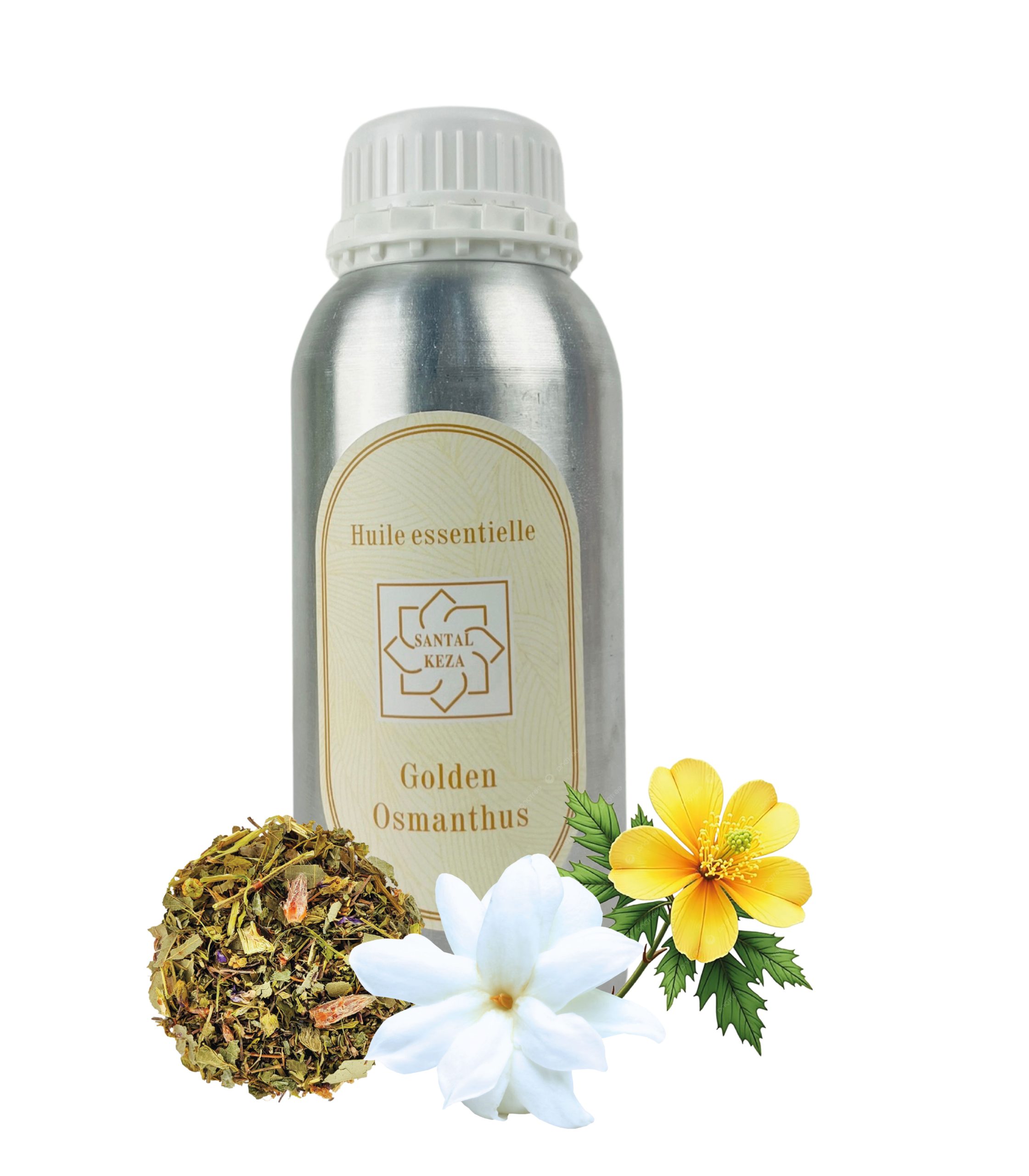 osmanthus